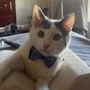 DrJerry2