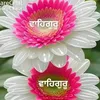 kulwinder8099
