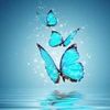 ghada55111