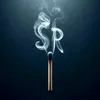 sr_ia30
