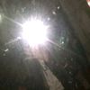 xzy_314