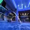 foxencinas_18
