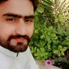 ali50356700