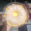 YẾN SÀO NHÀ MIN