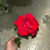 its.sara.65