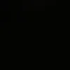 avinali603