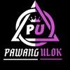 pawangulok1