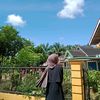 lestariindahpuji