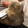 wheredoyouhouse