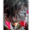 mr_bisteyy