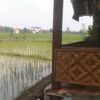 selalumencintaimu_25_05