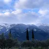 steliosvs