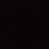1aliyefv._