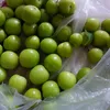 husseinalialshammari10