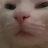 len_strm