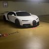 kajus_steponavicius