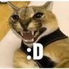 eldesaparecido2