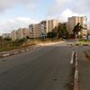 Draria daboussi 450