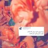 shahade11