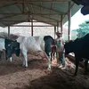 user7693044633026