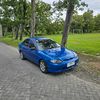 arum5005888618023