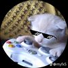 dj_hyper555