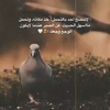 manal369__