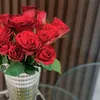 nanooshmuayad