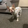 winniethefrenchieee2024