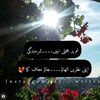 areeba_._bb4