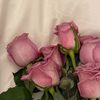rahaf1.7