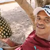 gilvanandrade91
