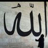 sarahameed03
