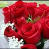 aiansaid2