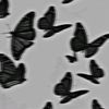frilances150