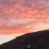 nikoleta03554