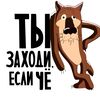 vladmorozov51