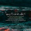 sadam54581