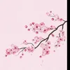 its._.shinobou