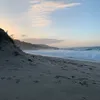whitebelen6