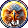 inam20623