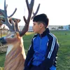 alqryshyywsf31gmail.co