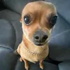 ball_flicker420