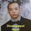 dicenquepalnarcodicenqu0