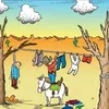 brunoband.com
