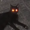 diegooesq