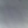 mister_elvin_775