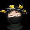 luiss_hlr