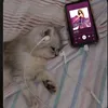 katie_1391