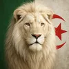 le.marin_wahrani